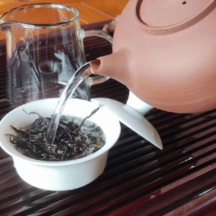 山茶花乌龙