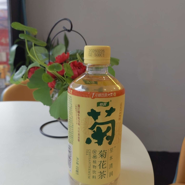 450ml至本菊花茶