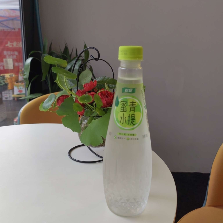 蜜水青提480ml