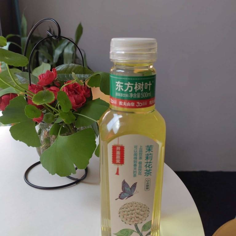 东方树叶茉莉花茶