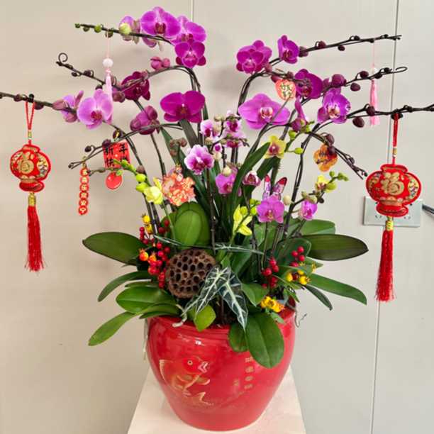 大鱼缸组盆