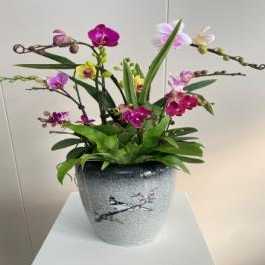 花鸟陶瓷艺术盆
