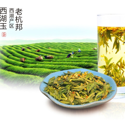 木系列-绿茶