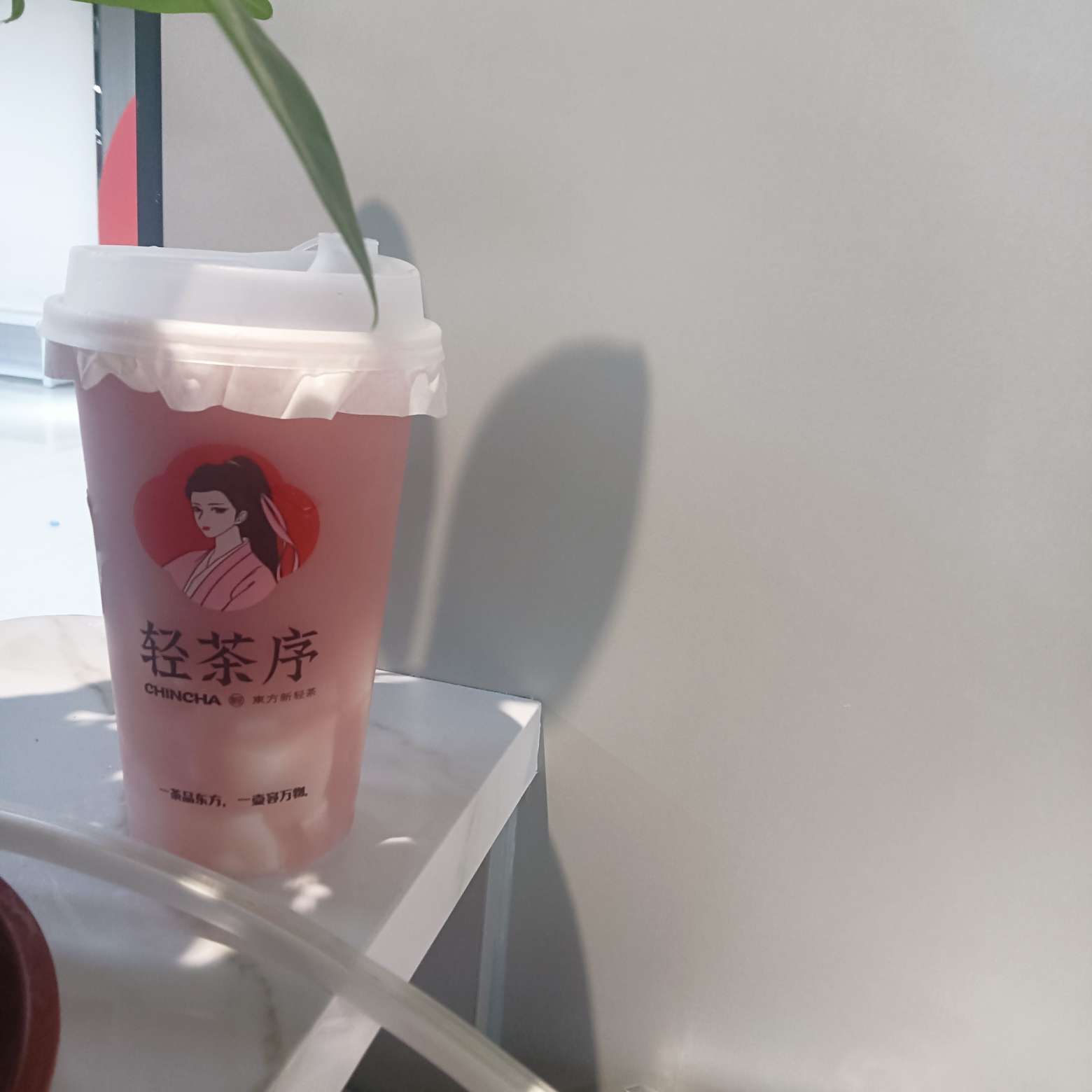 紫葡菌乐