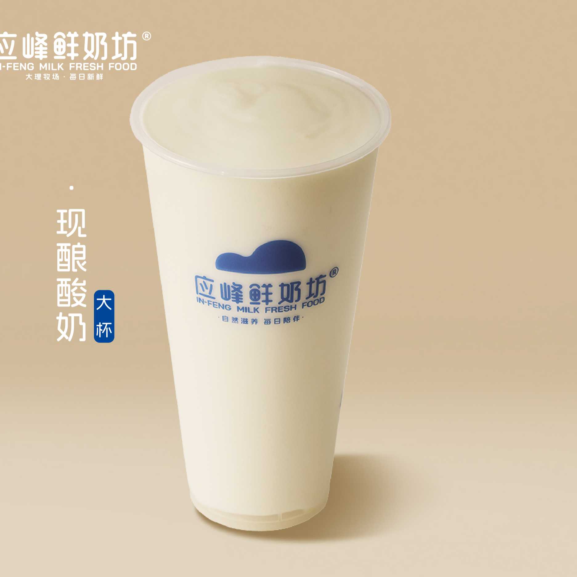 現釀酸奶（大杯）