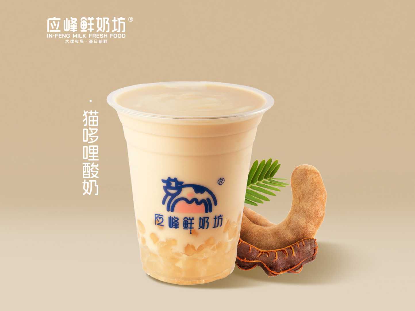 猫哆哩酸奶